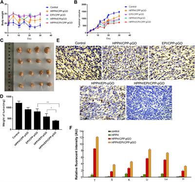 Codelivery of Anticancer Drug and Photosensitizer by PEGylated Graphene Oxide and Cell Penetrating Peptide Enhanced Tumor-Suppressing Effect on Osteosarcoma